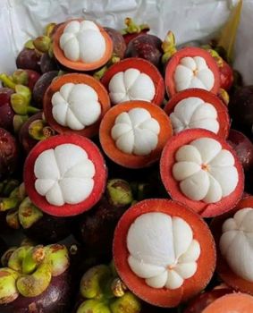 Mangosteen Certification Natural Place of Origin Indonesia - Pt ragil jaya mandiri project - Indonesia