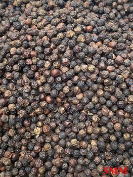 Black Pepper 5mm Origin Vietnam Form Ground, Whole Max. Moisture (%) 12.5%-13.5% Delivery Form 25kg bag, 50kg bag, Requirement - MINH ANH EXPORT CO., LTD - Vietnam
