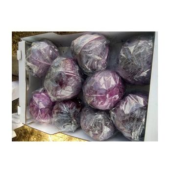 Trusted Egypt Origin Supplier of Top Quality New Crop Fresh Vegetables Red Cabbage at Reliable Market Price - El farida for export - Egypt