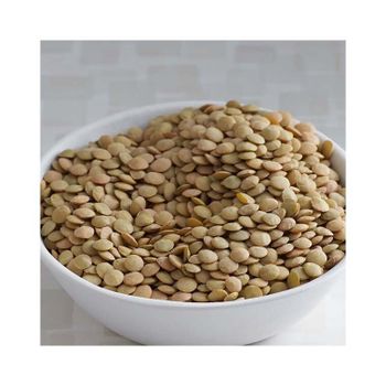 Best Quality Green Lentils | Red Lentils | Brown Lentils - GOLDEN STAR BV - South Africa