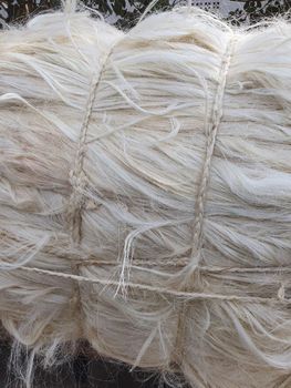Pure Natural Sisal Fiber 90cm Length Bleached Pattern Radiation-Resistant Spinning Filling Material Non-Woven Fabric Sisal Fiber - AGRONOVA - United States