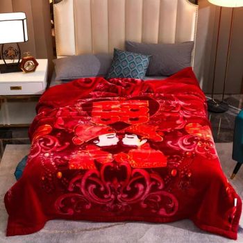 New Design Winter Warm Bed Blankets Home Bed Sofa Thick Raschel Throw Blanket Bedspread - Tianjin Zhongjianguokang Nano Technology Inc., Ltd. - China