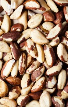Wholesale High Quality Grade a Raw Brazil Nuts in Vacuum Packed 100% Cheap Price - VERTEX TRADING LIMITED - United Kingdom