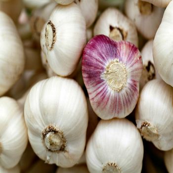 2022 Fresh White garlic for Sale – product photo, Fresh Black Garlic products found from trusted suppliers, wholesalers, manufacturers & exporters Listing