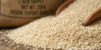 White Sesame Seeds Organic Yes Features Peeled Origin National Admixture Max 1% Moisture Content Max 6% Oil Content Minimum 48–50% - Kashyap Food Products - India