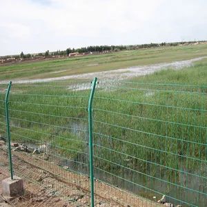 Customized Protective Nets for Zoos, Animal Cages, Occupied Buildings, Fences, Stairs, Handrails, and Protective Nets - Anping Fangxin Wire Mesh Products Co., Ltd. - China