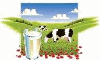 Product – product photo, Other Fermented Milk products found from trusted suppliers, wholesalers, manufacturers & exporters Listing