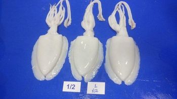 Cuttlefish Glaze Percentage 10% Cut Size 2/4 5/7 8/12 Packaging Weight 5x4 - Seahawkfoods india  - India