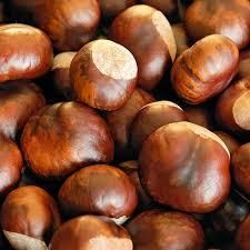 Chestnut Wholesale - AgronoMarket - United States