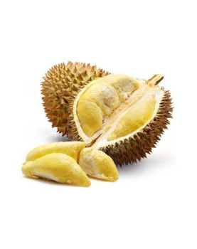 premium quality golden pillow durian new crop best for wholesales LQF frozen Monthong durian from J.C.P IMPORT AND EXPORT CO., LTD premium quality golden pillow durian new crop best for wholesales LQF frozen Monthong durian - J.C.P IMPORT AND EXPORT CO., LTD - Thailand