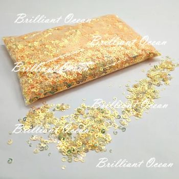 500g Bag Festival Glitter Piece Body Glitter Face Glitter Nail Art Decoration - Brilliant Ocean Trading (Yiwu) Co., Ltd. - China
