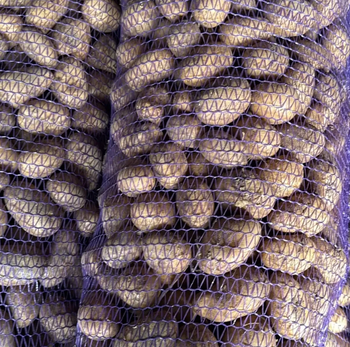 Ready for Global Markets Russet Burbank, Russet Norkotah Potatoes Carefully Harvested Packed in 10kg & 20kg Mesh Bags - Sosa Merchant Solutions - Austria