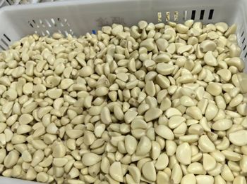 Peeled garlic Delivery Quantity 10 Mt Packaging Custom Packaging Price Per Metric Ton Usd 2000 / Mt - Linyi Mingchi Import and Export Co., Ltd. - China