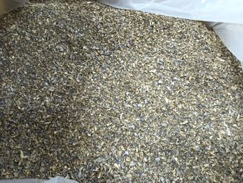 Dried Black Ginger Slices (Kaempferia Parviflora) - Premium Grade High Quality Kra Chai Dum Thailand - KAEWMUNGKORNPHAESAJ CO., LTD. - Thailand