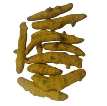 Selam Turmeric Finger – product photo, Dried Turmeric Finger products found from trusted suppliers, wholesalers, manufacturers & exporters Listing