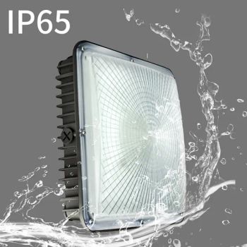 P66 Explosion Proof 80W 100W 120W 150W LED Canopy Light - Jiangsu Century Fujing Intelligent Technology Co., Ltd. - China