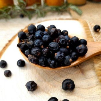 juniper berries Traceability Full Origin Balkan Region Essential Oil Profile Rich Moisture Control Controlled Size Standardization - Herba d.o.o. - Serbia