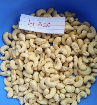 Cashew Nuts Form Whole Degree of Processing Unsalted - Rudra Corporation - India