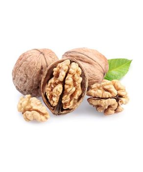 walnuts - Freeze Dried Fruit LTD - Uzbekistan