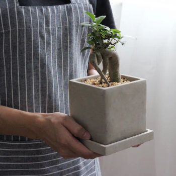 Simple Style Square Shape Cement Planter with Saucer for Home Garden Decor - Chaozhou Chaoan Yirui Ceramics Factory - China