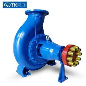 Horizontal Chemical Process Centrifugal Petrochemical Electric Hot Water Crude Fuel Pumps - Shanghai Tongke Flow Technology Co., Ltd. - China