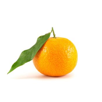 Fresh Mandarin Nutrient Rich Citrus Fruit With Smooth Peel Vibrant Appearance And Preferred Choice For Fresh Consumption - TOSOH INTERNATIONAL - South Africa