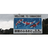 Product - QUALITY NISHIKIGOI - United Kingdom