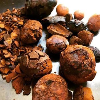 Organic Ox Gallstone Natural Cow Gallstones for Medicinal and Industrial Use Bulk Cheap Deals - SILVERSTONE IMPORT AND EXPORT LIMITED - Tanzania