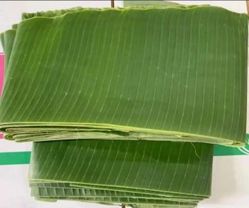 banana leaves from PT. NARALEAF AGRO INDONESIA banana leaves – product photo, Banana Leaves products found from trusted suppliers, wholesalers, manufacturers & exporters Listing