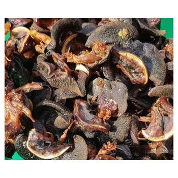 100% High Quality Edible Snails Dries Snails Giant African Land Snails for Sale Frozen Dried at Cheap Price WHATSAP +255762500052 - AL JABLI TRADING COMPANY LIMITED - Tanzania