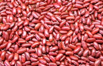 Kidney Beans (Rajma) – Premium Quality from India