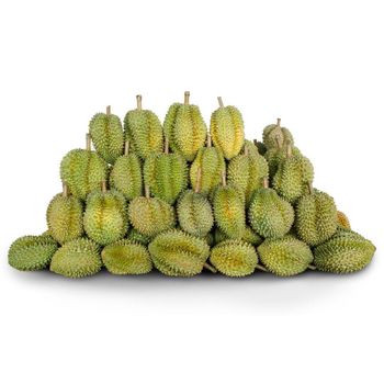 Healthy Fresh Durian Fruits Carefully Selected Premium Freshness Excellent Taste Perfect For Daily Consumption from CPW TRADE LTD Healthy Fresh Durian Fruits Carefully Selected Premium Freshness Excellent Taste Perfect For Daily Consumption - CPW TRADE LTD - United Kingdom