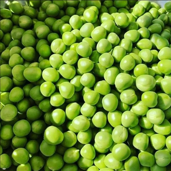 Pigeon Peas Food Grade 100% Natural Brazilian Fresh Bulk Storage Packaging from AGRONOVA Pigeon Peas Food Grade 100% Natural Brazilian Fresh Bulk Storage Packaging - AGRONOVA - United States
