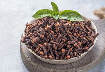 Perfect Grade Dried Cloves Best Quality Bud Clove / Raw Dried Cloves for Sale - AGRONOVA - United States