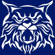Product - About Us | Wild Cat Skill | Buy Skill Machine near me KY USA | Prominent Technologies - United States
