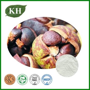 Camellia Seed Extract Tea Saponins 18-98% UV Powder 80Mesh 100% Natural 25kg Drum - Kingherbs Limited - China