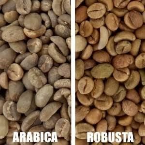 Coffee & Coffee Bean – product photo, Ethiopia Coffee Bean products found from trusted suppliers, wholesalers, manufacturers & exporters Listing