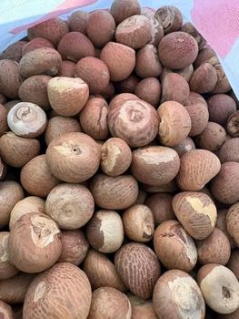 Betel nut - Execute Enterprise - Global