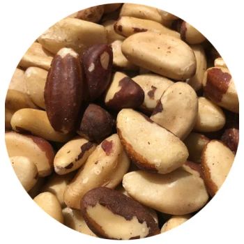 Raw Organic Natural Brazil Nuts High Nutrition Whole Nuts Cheap Bulk Wholesale Price from A.C.P. AGRICULTURE COMPANY LIMITED Raw Organic Natural Brazil Nuts High Nutrition Whole Nuts Cheap Bulk Wholesale Price - A.C.P. AGRICULTURE COMPANY LIMITED - Thailand
