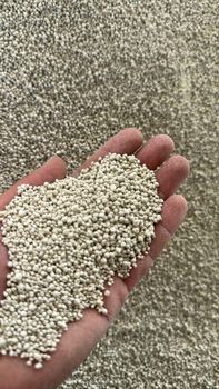 Bentonite Granular Cat Litter Dust Free Yes Source Natural Toxicity Non-toxic Odor Control Effective Clumping Ability - Emaratmine - Iran