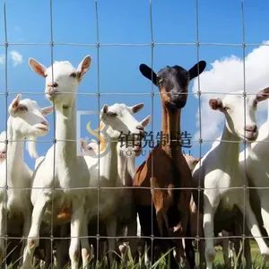 Boyue Cheap Metal Outdoor Fences Farm Fence and Gate Galvanized 12 FT 4 Rails Bulk Horse Stable Livestock Fence Panels Corral Horse Fence for Cattle Sheep Fie - Anping Boyue Metal Products Co., Ltd. - China