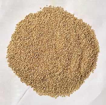 Quinoa Texture Seed Applications Salads, Soups, Breakfasts, Baked Goods Nutritional Profile High In Protein, Fiber, And Other Nutrients - Ayanshi Export Pvt Ltd - India