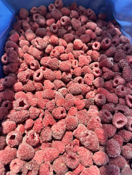 Raspberry Origin Chile Grade Grade A Color Clean Color Texture Firm Texture Processing Method Iqf Supply Model Long-term Supply - Alta Fruta SpA - Chile