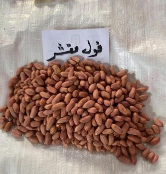 Raw Peanut kernels from Al-Taqwa for Agricultural Crops Raw Peanut kernels - Al-Taqwa for Agricultural Crops - Egypt