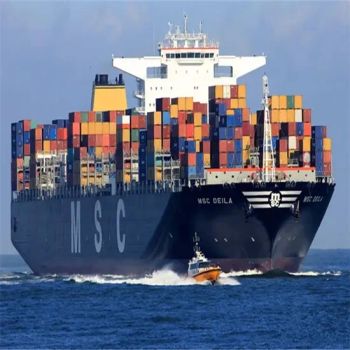 Sea Freight Forwarder Shipping Agent From Shanghai to Ashdod  - SDI LOGISTICS CO., LIMITED - China