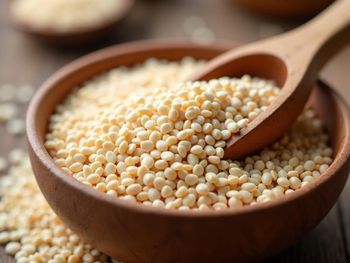 Sesame Seeds - Savannah Source Global Trade Ltd - Kenya
