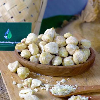 Candlenut from PT Globalindo Mega Aroma Candlenut - PT Globalindo Mega Aroma - Indonesia