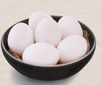 EGG - TAKEMICHI - Vietnam