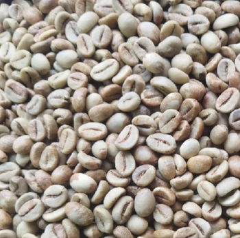 Coffee Beans - Alam Raya Makmur - Indonesia