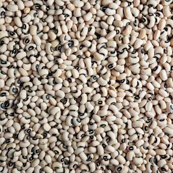 Dried Black Eyed Peas White Beans Direct Supply Available Bulk Quantities for Export Superior Quality 100% Pure Natural - TRADECENTRIC LLC - United States